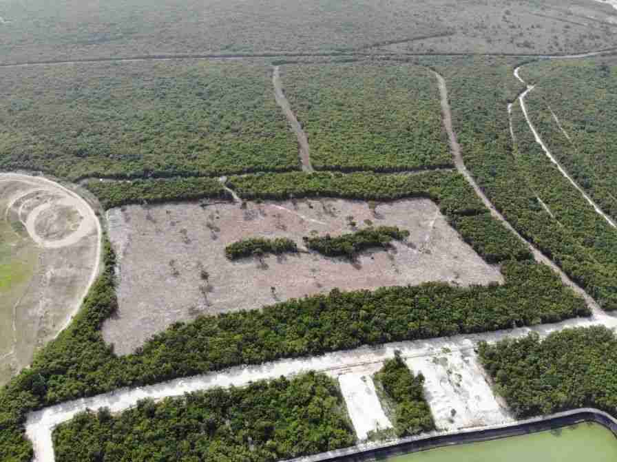 Incredible Lot for sale with lake views at Punta Cana 6