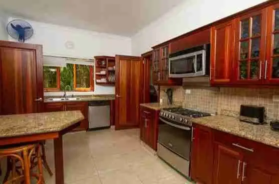 Four Bedroom Villa For Sale In Tortuga Bay Punta Cana Resort Club