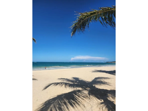 ID Elegant Two Bedroom Apartment with Terrace for Sale in White Sands, Punta Cana ()