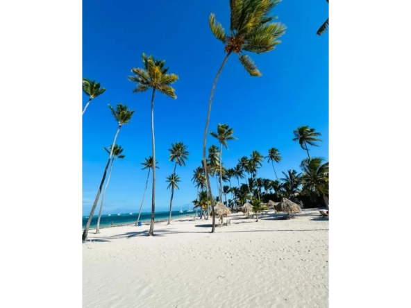 ID Punta Cana Villas for Sale Atlantic Palm Residences Bed Villa with Balcony ()