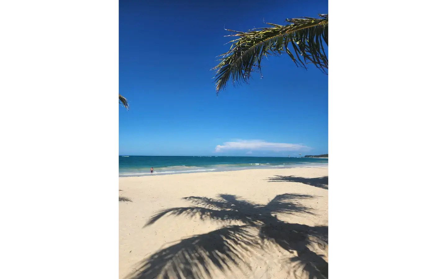 ID , Palm Oasis Gardens Bedroom Villa with Beach Shuttle in White Sands, Punta Cana ()
