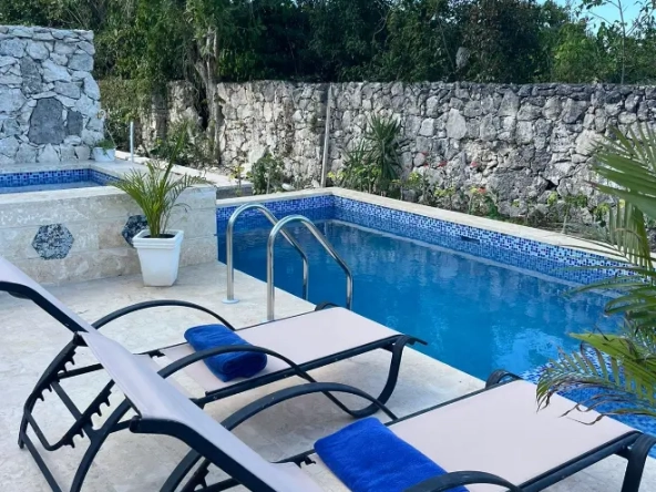 ID Drake Plus Three Bedroom Individual Villas for Sale in Punta Cana ()