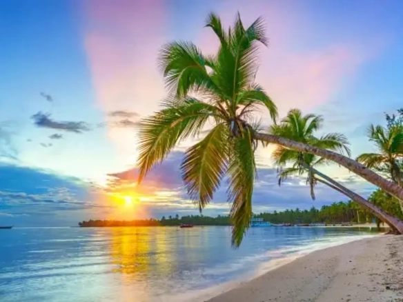 ID Prime Build Ready Land for Sale at La Reserva City Place, Punta Cana, Dominican Republic ()