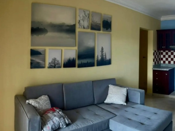 ID Investment Opportunity Punta Cana Hotel with Fully Furnished Apartments in Los Corales ()