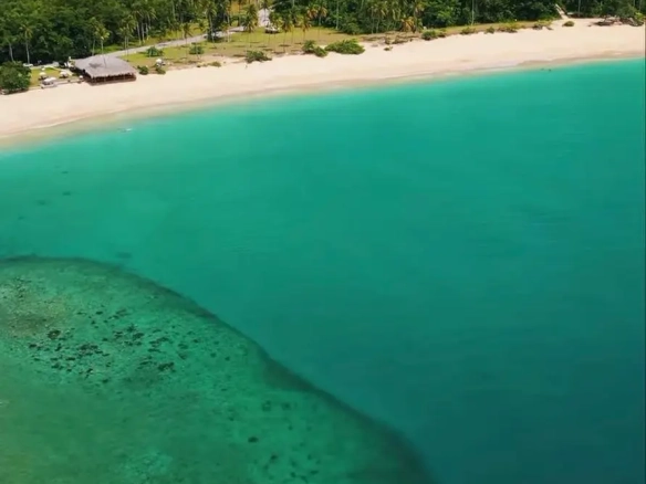 ID Exclusive Oceanfront Opportunity Build Your Dream on the Sands of Playa El Limon ()