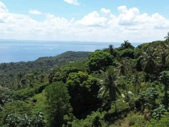 Build Your Dream Home: Ocean-View Hillside Lots for Sale in Monte Rojo, Samaná