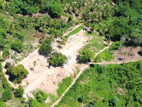 Build Your Dream Home: Ocean-View Hillside Lots for Sale in Monte Rojo, Samaná