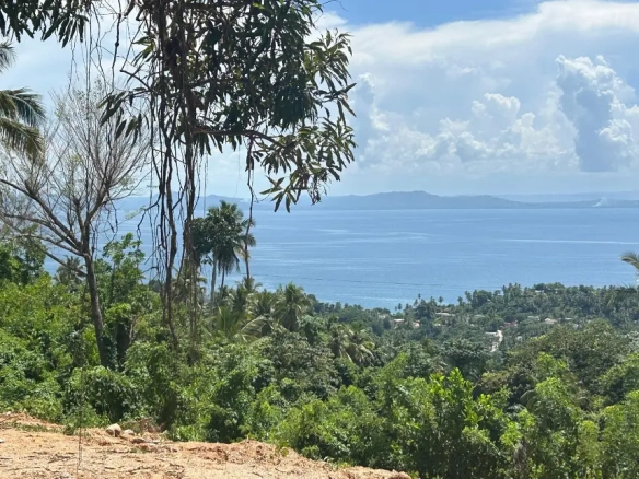 Build Your Dream Home: Ocean-View Hillside Lots for Sale in Monte Rojo, Samaná