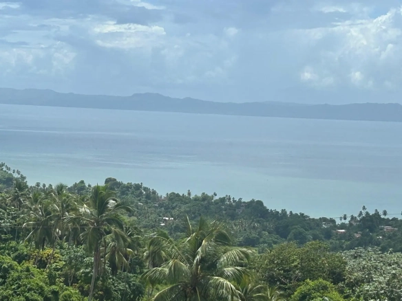 Build Your Dream Home: Ocean-View Hillside Lots for Sale in Monte Rojo, Samaná